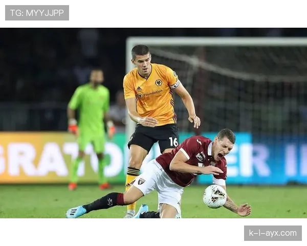 埃弗顿本赛季表现稳健，竞争力持续提升